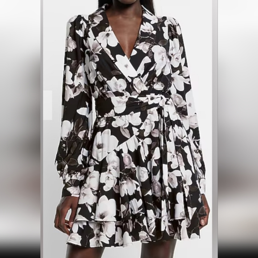 Express Floral Dress
